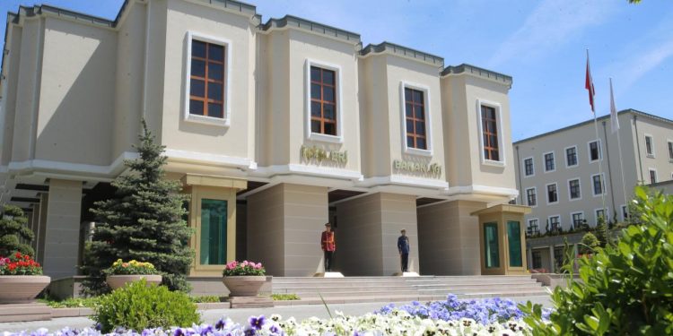 Viranşehir’deki sahipsiz köpek saldırısıyla ilgili müfettiş görevlendirildi