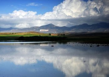 Ilık ve nemli hava etkili olacak…