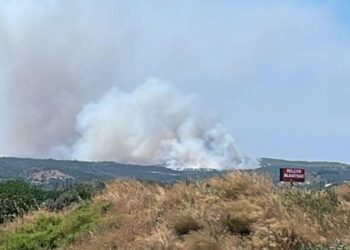 İzmir’de çöplükte çıkan yangın makilik alana sıçradı