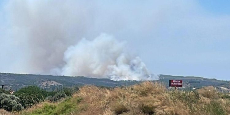 İzmir’de çöplükte çıkan yangın makilik alana sıçradı