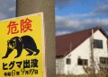 Japonya’da bir fabrikaya giren ayının “pencereyi açıp kaçtığı” düşünülüyor