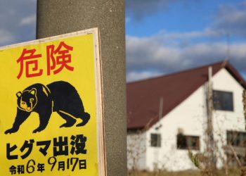 Japonya’da bir fabrikaya giren ayının “pencereyi açıp kaçtığı” düşünülüyor