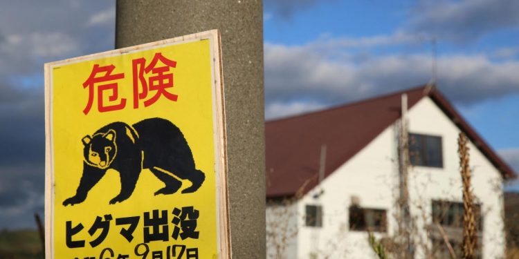 Japonya’da bir fabrikaya giren ayının “pencereyi açıp kaçtığı” düşünülüyor