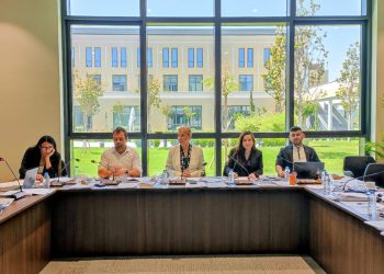 Ekonomi, Maliye, Bütçe ve Plan Komitesi bir öneri ile üç yasa tasarısını görüştü