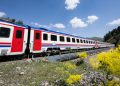 TCDD otla mücadele kapsamında tren yollarında ilaçlama yapacak