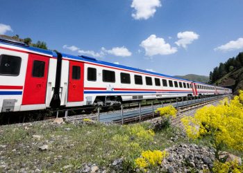 TCDD otla mücadele kapsamında tren yollarında ilaçlama yapacak