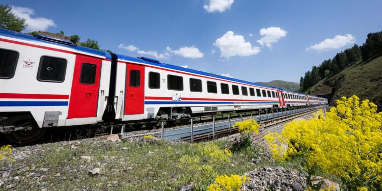 TCDD otla mücadele kapsamında tren yollarında ilaçlama yapacak