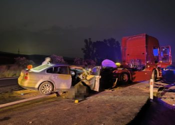 Adana’da otomobil park halindeki tıra çarptı: 2 ölü