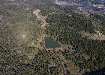 Ankara Çubuk’ta ormanlık alanlara girişler 30 Eylül’e kadar yasaklandı