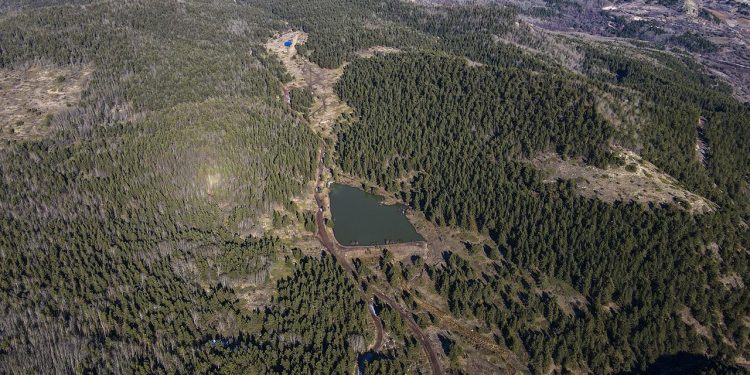 Ankara Çubuk’ta ormanlık alanlara girişler 30 Eylül’e kadar yasaklandı