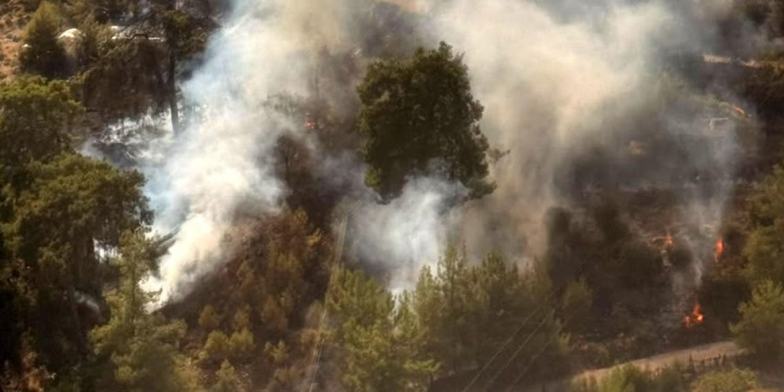 Antalya’da ormanlık alanda yangın çıktı
