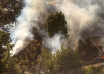 Antalya’da ormanlık alanda yangın çıktı