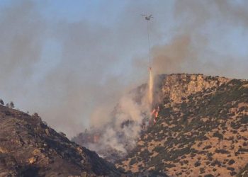 Pamukkale yakınlarında orman yangını çıktı