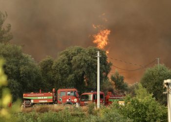 Fethiye’deki orman yangınına müdahale ediliyor