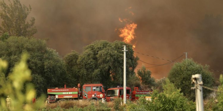 Fethiye’deki orman yangınına müdahale ediliyor