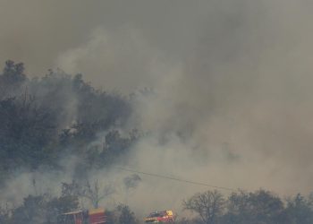 Fransa’da binlerce hektarlık orman yandı