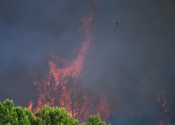 Fransa’da çıkan yangında yaklaşık 900 hektarlık alan küle döndü