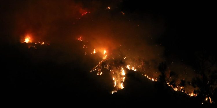 Kaş’taki orman yangınına müdahale sürüyor