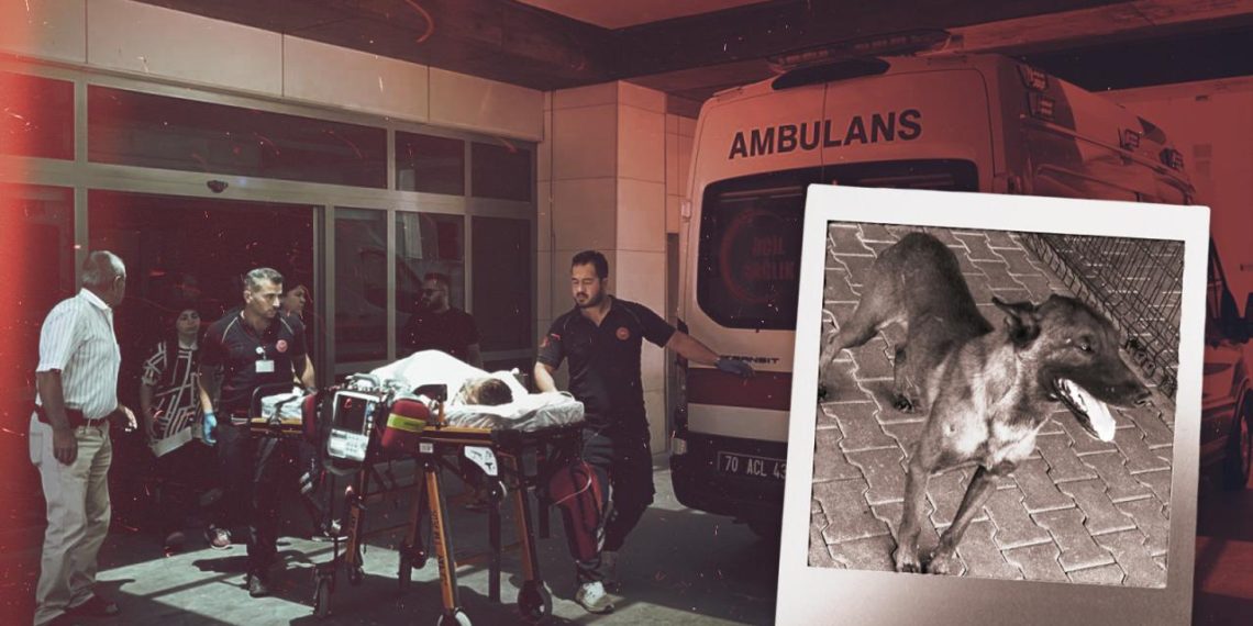 Karaman’da 3 yaşındaki çocuğa saldıran köpeğin sahibi tutuklandı