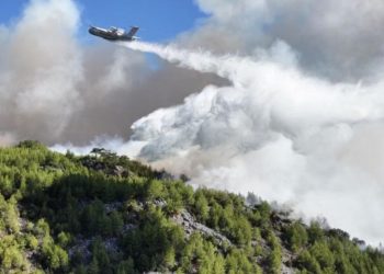 Orman yangınlarına yol açan fiillere ağır yaptırım