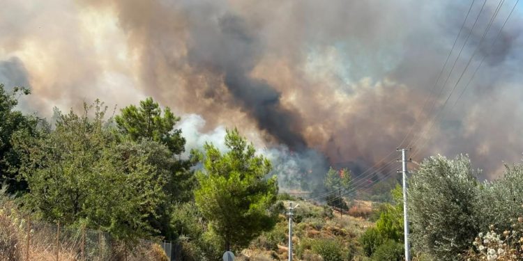 Antalya Kumluca’daki orman yangınına müdahale ediliyor