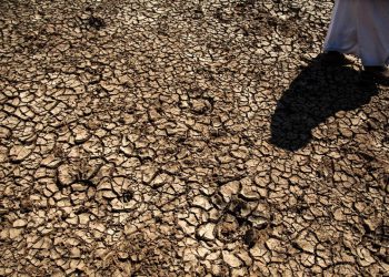 Hindistan, son 100 yılın en kurak haziran aylarından birini yaşadı