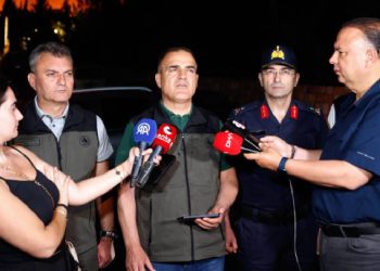 Milas’ta ormanlık alanda çıkan yangına karadan müdahale sürüyor