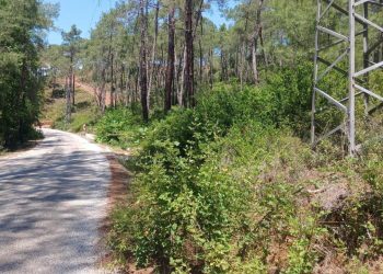 OGM’den yangın mesaisi: 16 bin 500 bin kilometre orman yolu temizlendi