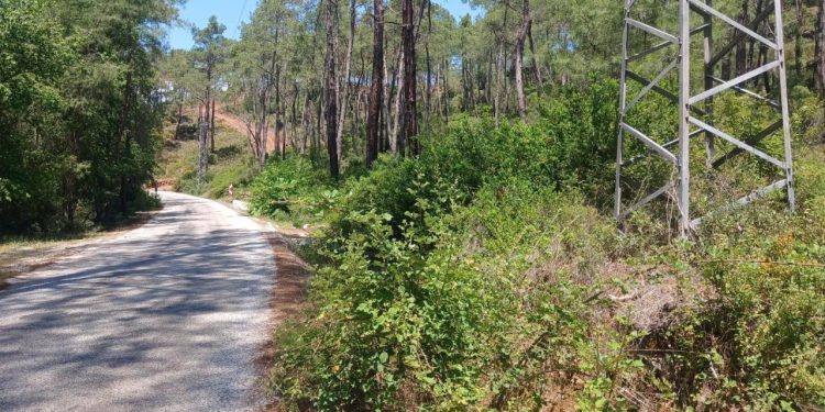 OGM’den yangın mesaisi: 16 bin 500 bin kilometre orman yolu temizlendi