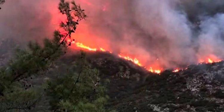 Kaş’ta orman yangınına havadan ve karadan müdahale