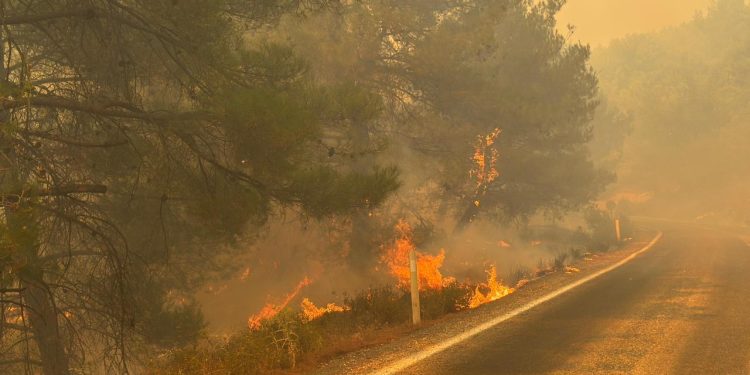 Gömeç’te başlayan yangın Ayvalık’a sıçradı