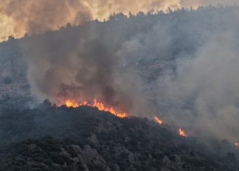 Kaş’ta orman yangınıyla mücadele ikinci gününde de sürüyor