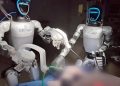 Tarihte ilk kez insansı robotlar canlı hayvanlar üzerinde ameliyat gerçekleştirdi