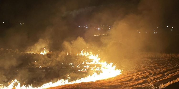 Şanlıurfa’da anız yakan kişilere 21,2 milyon lira ceza kesildi