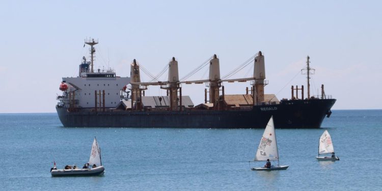 Tekirdağ’da karaya oturan yük gemisi çevresinde güvenlik önlemi alındı