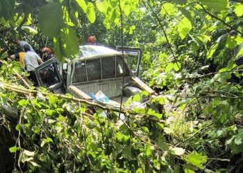 Trabzon’da kamyonet fındık bahçesine yuvarlandı: 1 ölü, 5 yaralı