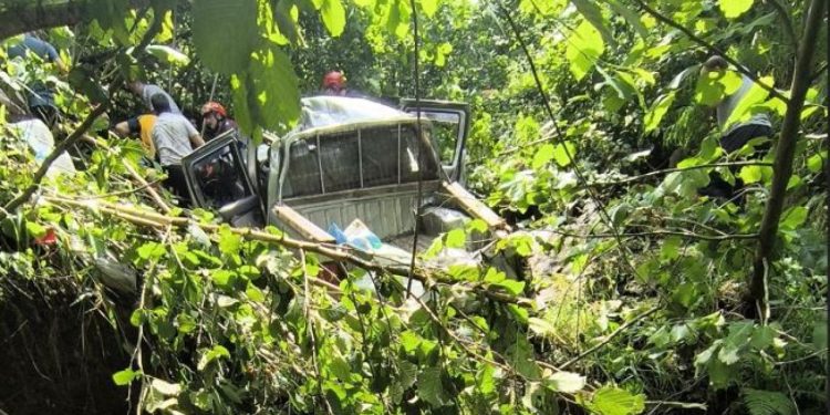 Trabzon’da kamyonet fındık bahçesine yuvarlandı: 1 ölü, 5 yaralı