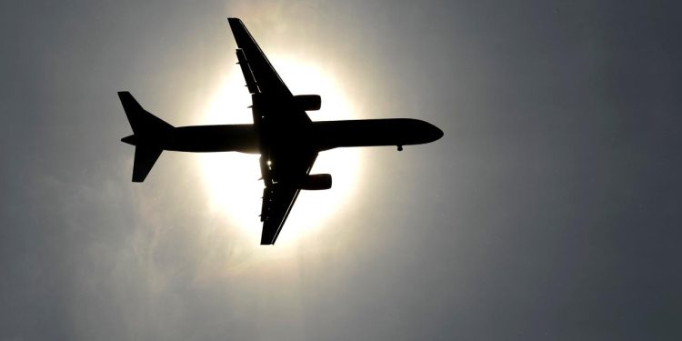 ABD’de, uçuşlarda insana ve evcil hayvana benzeyen robotlara yasak