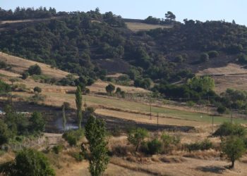 Balıkesir’deki orman yangını kontrol altına alındı