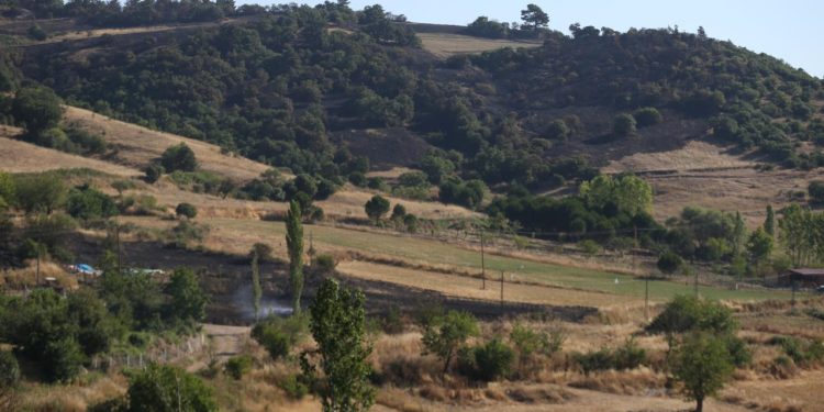 Balıkesir’deki orman yangını kontrol altına alındı
