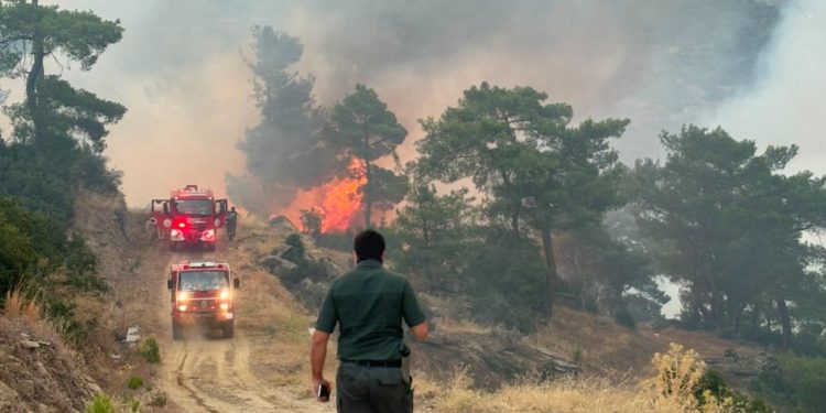 Aydın’daki orman yangınına müdahale sürüyor