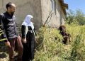 Yüksekova Kaymakamı ineği telef olan aileye inek ve buzağı hediye etti