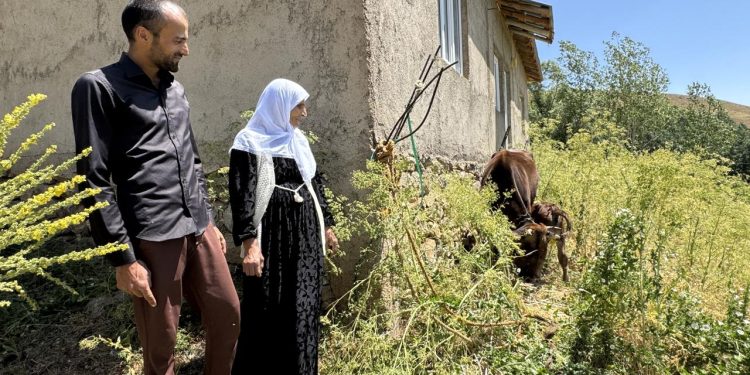 Yüksekova Kaymakamı ineği telef olan aileye inek ve buzağı hediye etti