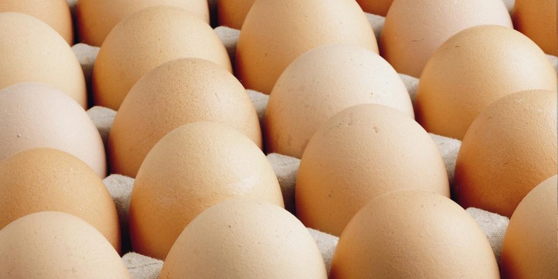 ABD’de milyonlarca yumurta salmonella şüphesiyle geri çağırıldı