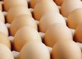 ABD’de milyonlarca yumurta salmonella şüphesiyle geri çağırıldı