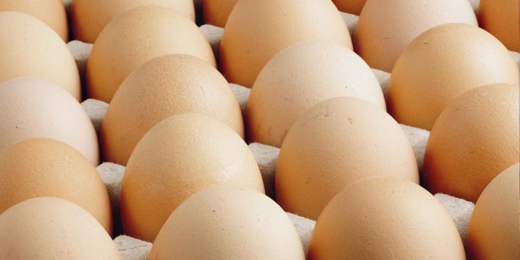 ABD’de milyonlarca yumurta salmonella şüphesiyle geri çağırıldı