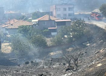 Balıkesir ve Bilecik’teki yangınlara müdahale ediliyor