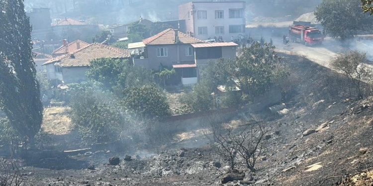 Balıkesir ve Bilecik’teki yangınlara müdahale ediliyor