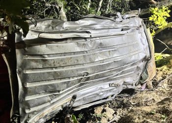 Bingöl’de ticari araç uçuruma yuvarlandı: 4 ölü
