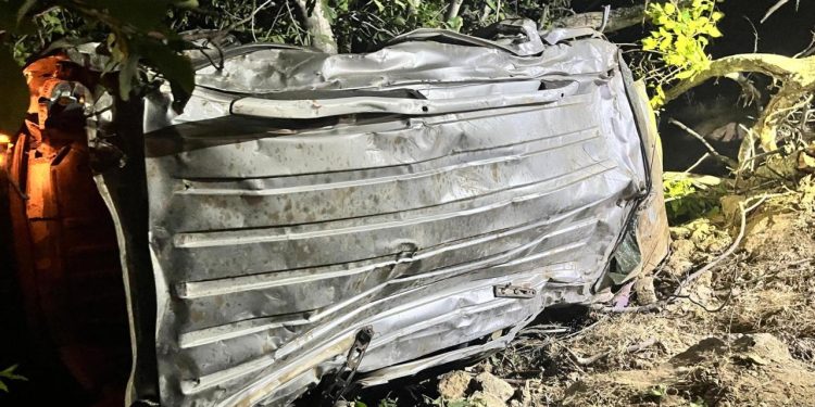 Bingöl’de ticari araç uçuruma yuvarlandı: 4 ölü